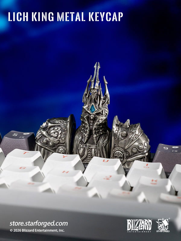 No king rules forever, my son." — Terenas Menethil, to his son, as the Lich King fell